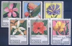Kongo 1996  Blühende Pflanzen