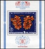 1979  FIP-Kongreß