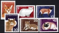 1983  Katzen