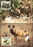 1987  Weltweiter Naturschutz WWF - Afrikanischer Wildhund...