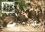 1987  Weltweiter Naturschutz WWF - Afrikanischer Wildhund (058)