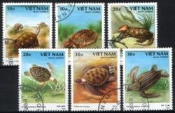 1989  Schildkröten