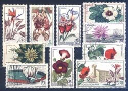 1965  Gründung der botanischen Gärten