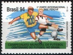 Brasilien 1994  Fuball-Weltmeisterschaft in der USA