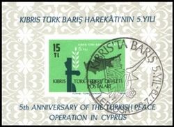 1979  Jahrestag der trkischen Intervention auf Zypern