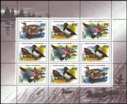 1994  Enten