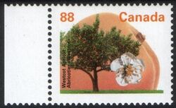 Canada 1994  Freimarken: Obstbume - Westcot-Aprikose
