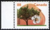 Canada 1994  Freimarken: Obstbäume - Westcot-Aprikose