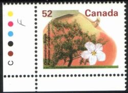 Canada 1995  Freimarke: Obstbäume - Apfel