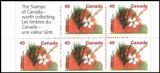 Canada 1993  Obstbäume - Markenheftchen