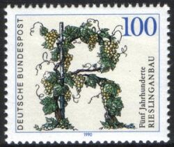 1990  Rieslinganbau