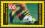 1995  Deutscher Fußballmeister: Borussia Dortmund