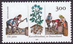 1997  350 Jahre Kartoffelanbau in Deutschland