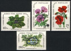 1983  Ausrufung der Türkischen Republik Nordzypern