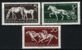1958  Pferderennen "Großer Preis der DDR"