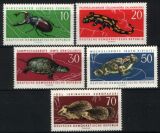 1963  Geschützte Tiere