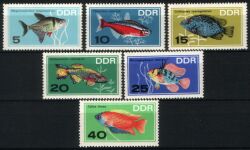 1966  Zierfische