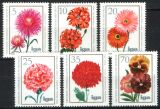 1975  Blumenzüchtungen