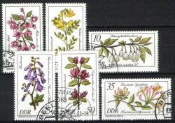 1981  Seltene Gehölze