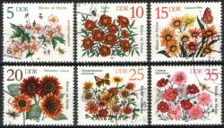 1982  Herbstblumen