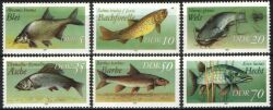 1987  Süßwasserfische