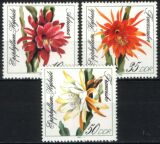 1989  Blattkakteenzüchtungen