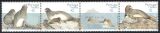 1993  Naturschutz: Mittelmeer-Mönchsrobben