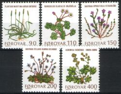 1980  Feldblumen