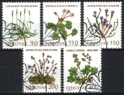 1980  Feldblumen