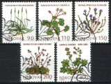 1980  Feldblumen