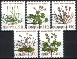 1980  Feldblumen