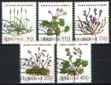 1980  Feldblumen