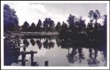 76437  Plittersdorf - Altrhein