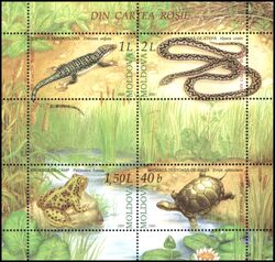 2005  Reptilien und Amphibien