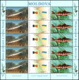 2007  Schutz der Fauna des Dnjestre