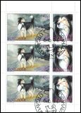 1994  Hütehunde