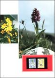 1988  Jahrbuch