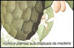 1990  Freimarken: Subtropische Frchte und Pflanzen - Markenheftchen