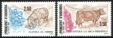 1991  Naturschutz
