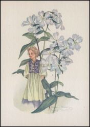 Künstlerkarte - Anna-Maria Schwarz-Torinus