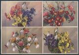 Motivkarten - Blumen