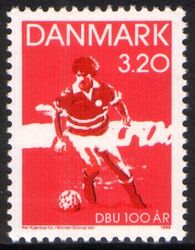 1989  100 Jahre Dnische Ballspiel-Union