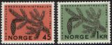 1962  100 Jahre öffentliche Forstverwaltung