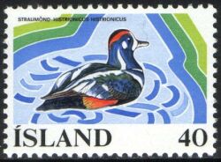 1977  Europäisches Süßwasserschutzjahr - Kragenente