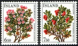 1984  Blumen