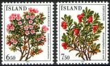 1984  Blumen