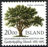 1985  Isländische Gartenbaugesellschaft