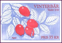 1996  Freimarken: Winterbeeren - Markenheftchen