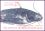 1991  Freimarken: Natur - Süßwasserfische - Markenheftchen