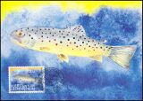 1987  75 - Fische